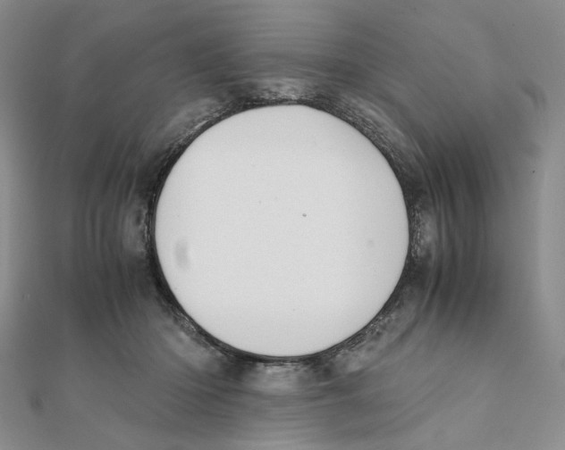 X0000111370414200908071218
