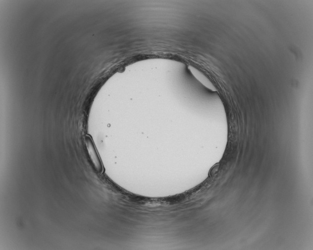 X0000111370415200908071218