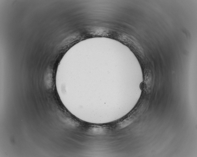 X0000111370416200908071218