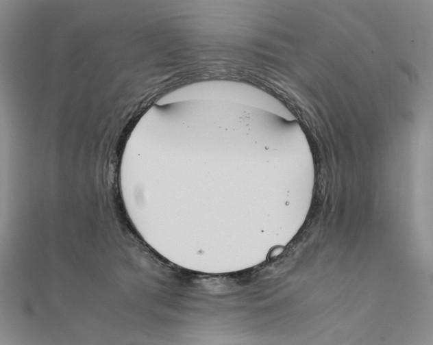 X0000111370417200908071218