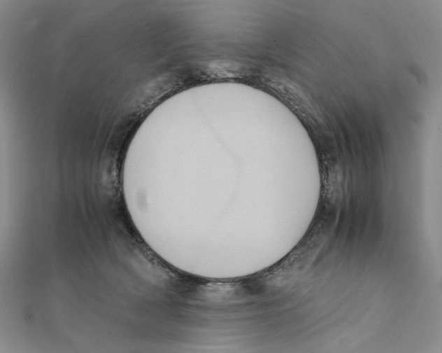 X0000111370418200908071218
