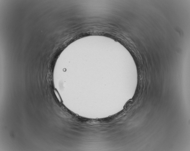 X0000111370419200908071218