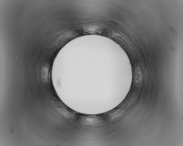 X0000111370420200908071218