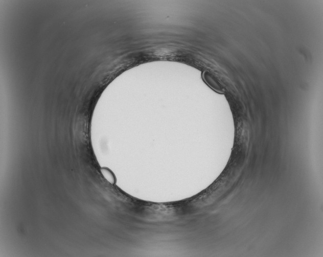 X0000111370421200908071218