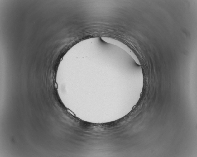 X0000111370423200908071218