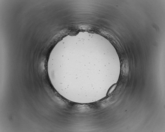 X0000111370424200908071218