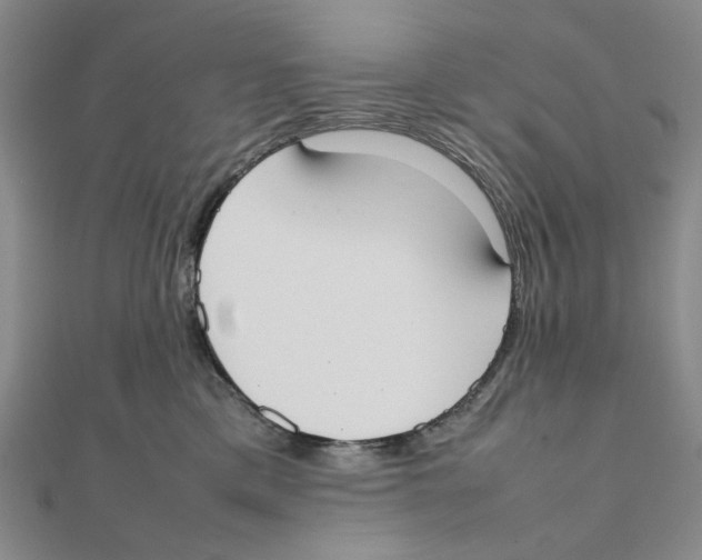 X0000111370425200908071218