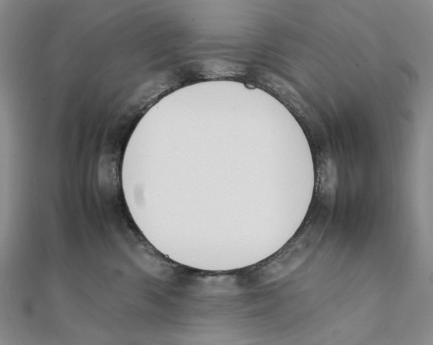 X0000111370426200908071218