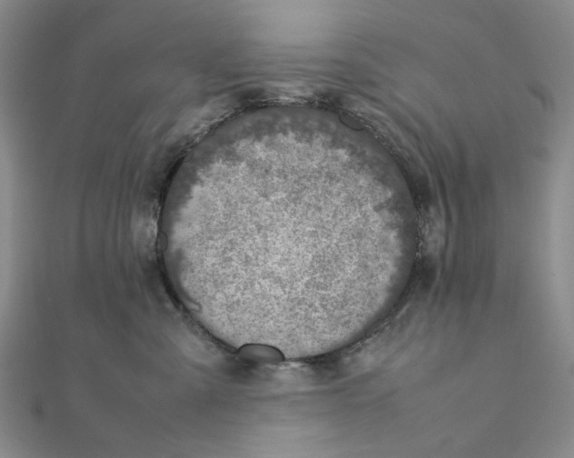 X0000111370427200908071218