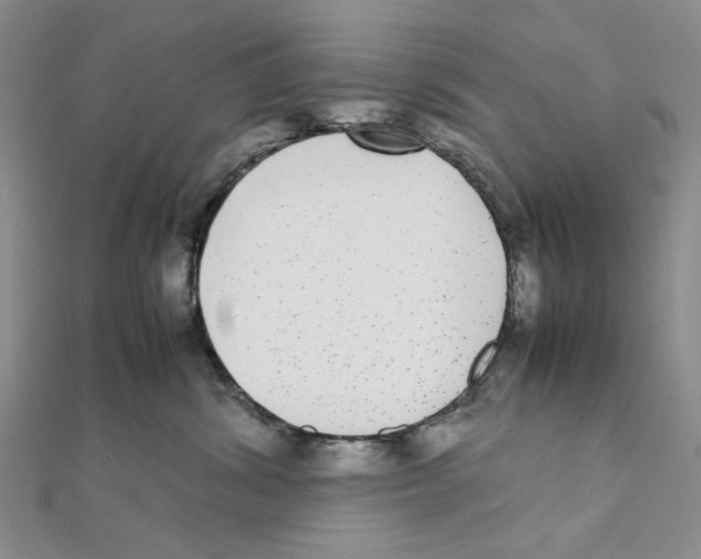X0000111370428200908071218