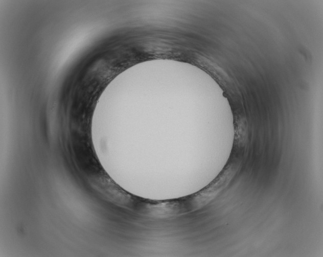 X0000111370430200908071218