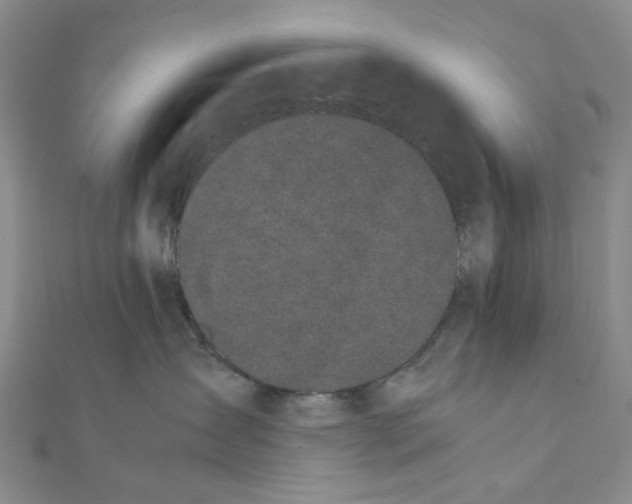 X0000111370431200908071218
