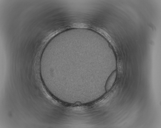 X0000111370433200908071217