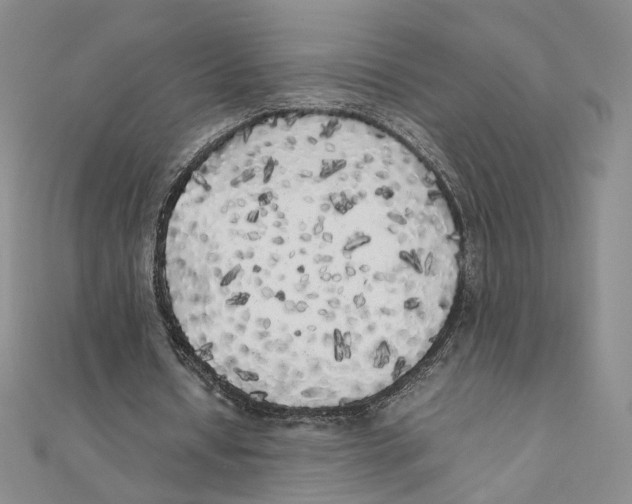X0000111370434200908071217