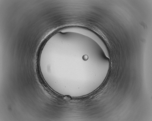 X0000111370436200908071217