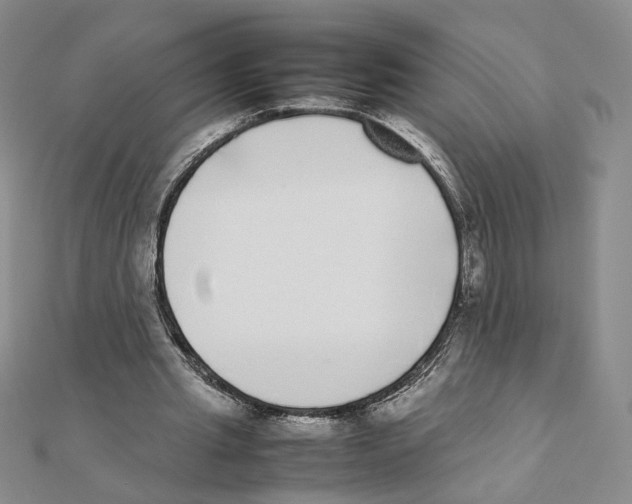 X0000111370437200908071217