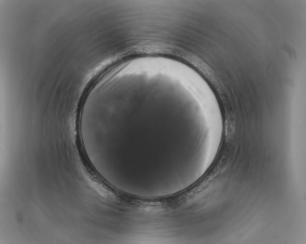 X0000111370438200908071217