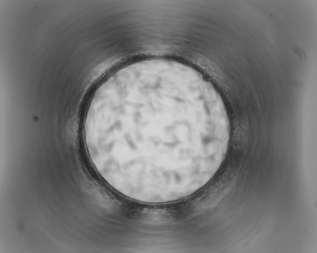 X0000111370440200908071217