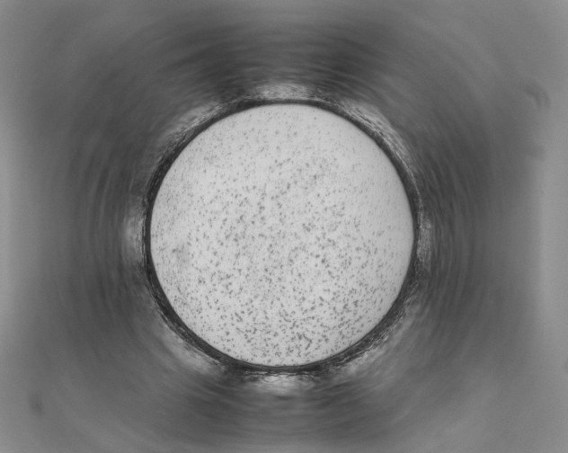X0000111370441200908071217