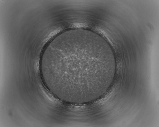 X0000111370443200908071217