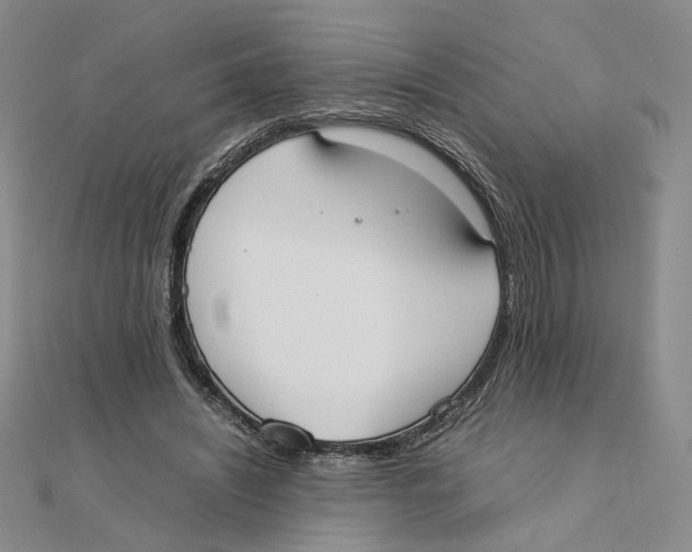 X0000111370444200908071217