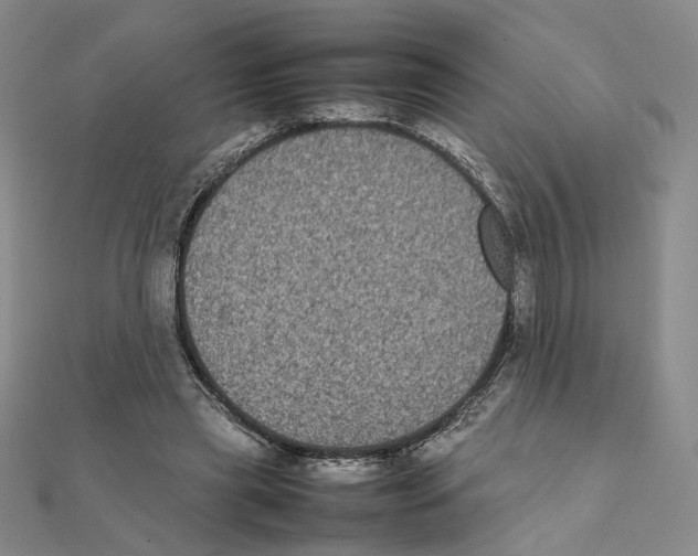 X0000111370445200908071217
