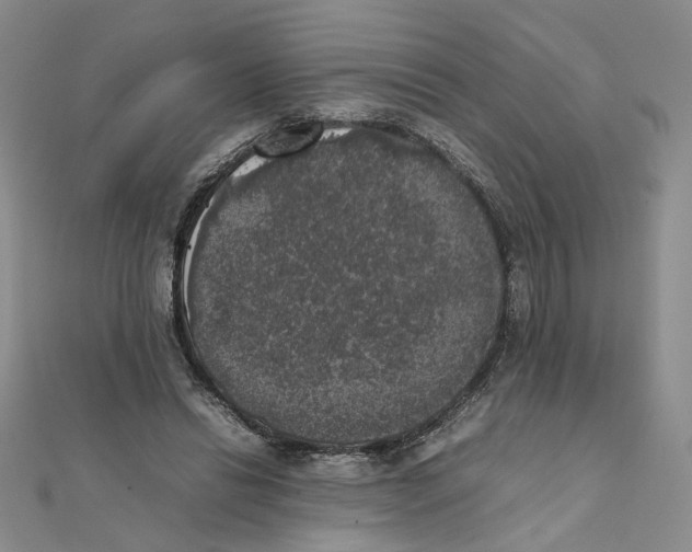 X0000111370446200908071217