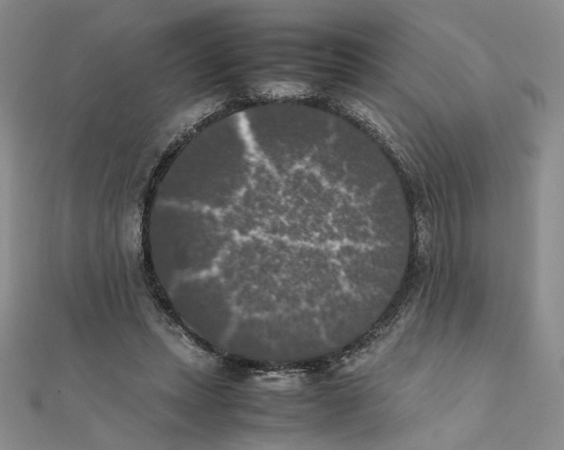 X0000111370447200908071217