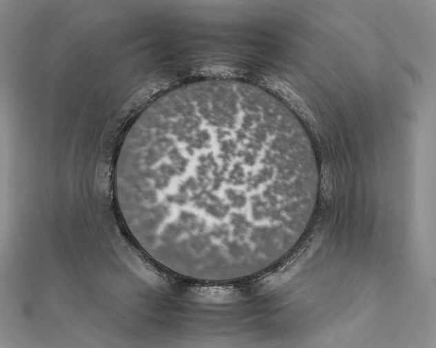 X0000111370449200908071217