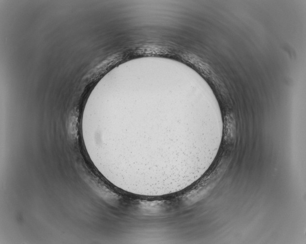 X0000111370450200908071217