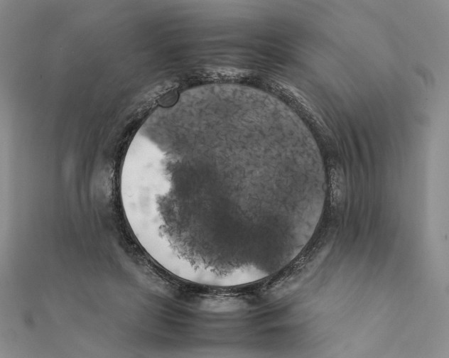 X0000111370451200908071217