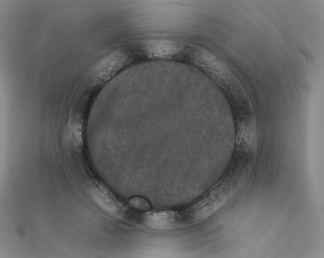 X0000111370452200908071217