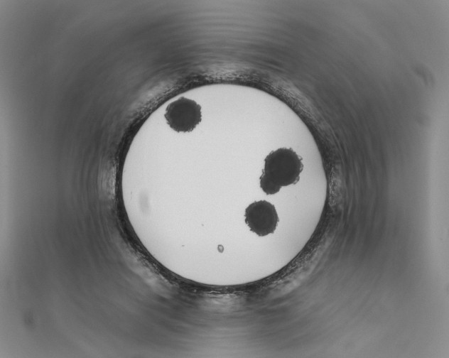 X0000111370454200908071217