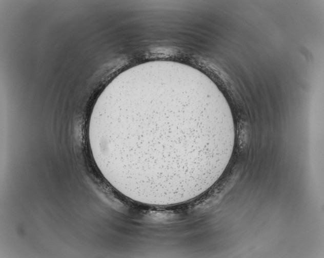 X0000111370455200908071218