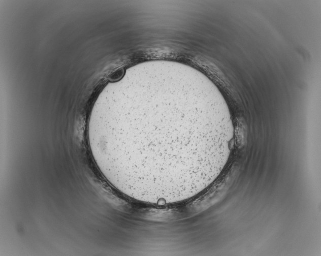 X0000111370458200908071218