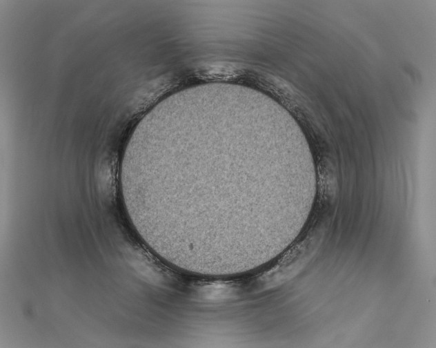 X0000111370460200908071218