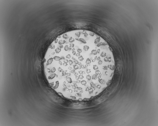 X0000111370461200908071218