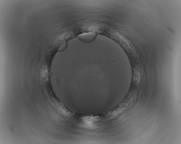 X0000111370465200908071218