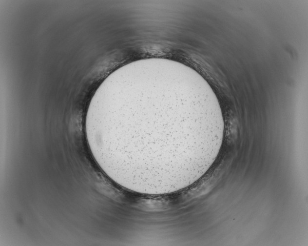 X0000111370466200908071218