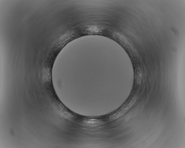 X0000111370467200908071218