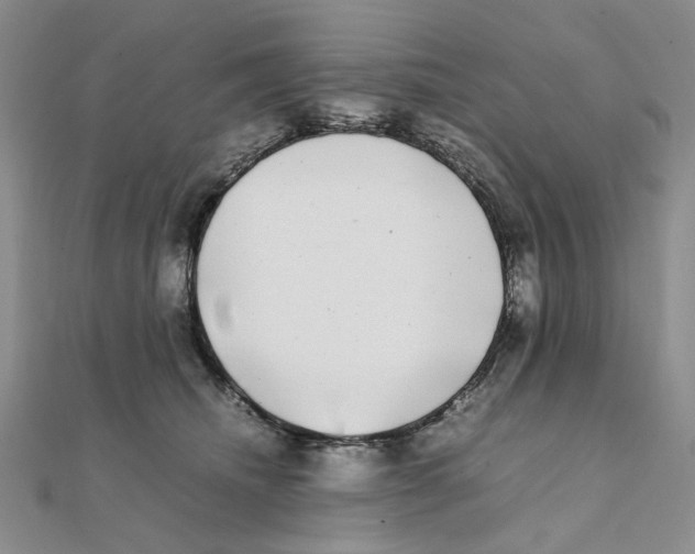 X0000111370468200908071218