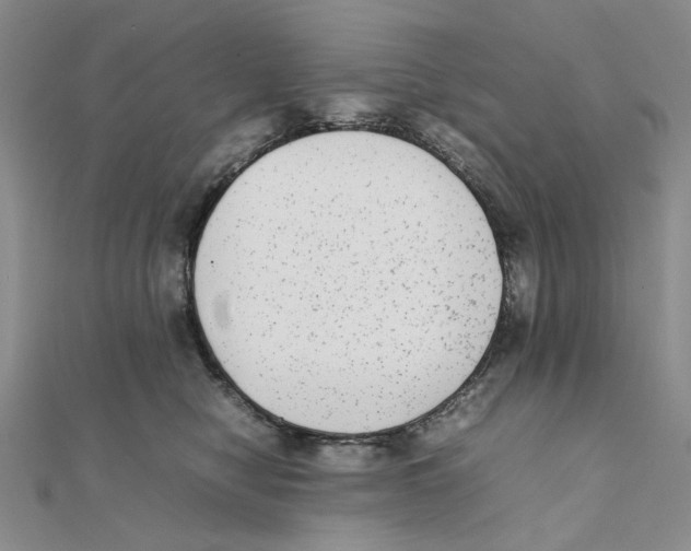X0000111370470200908071218