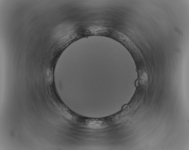 X0000111370471200908071218