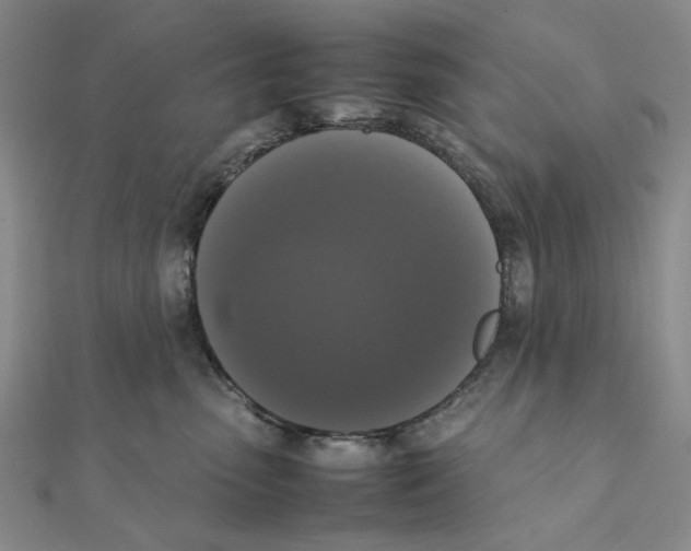 X0000111370475200908071218