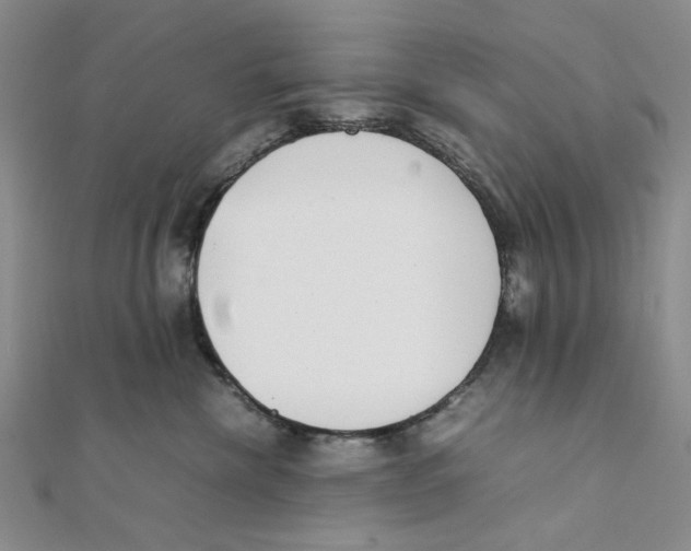 X0000111370476200908071218