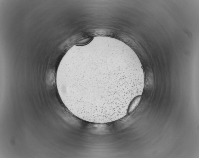 X0000111370478200908071218