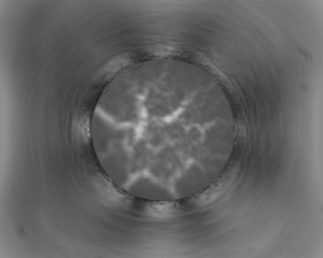 X0000111370479200908071218