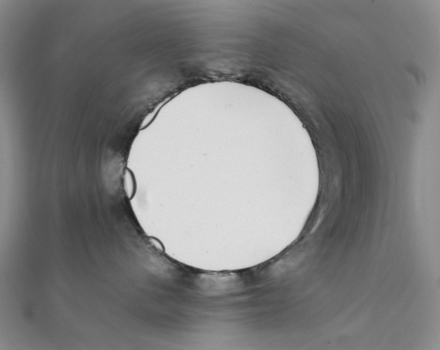 X0000111370480200908071218