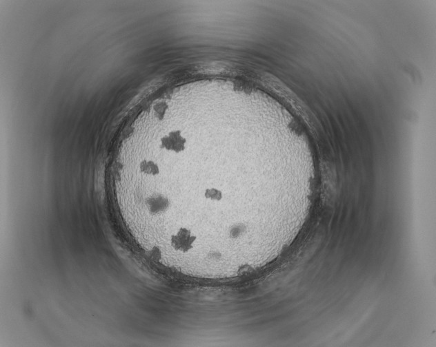 X0000111370482200908071217