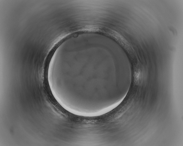 X0000111370484200908071217